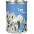 Grow Can-Daisy Flower